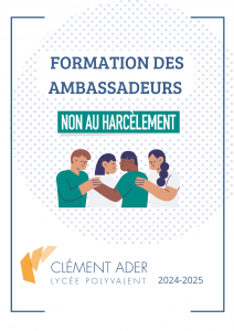 Les Ambassadeurs de la prévention et de la lutte contre le harcèlement